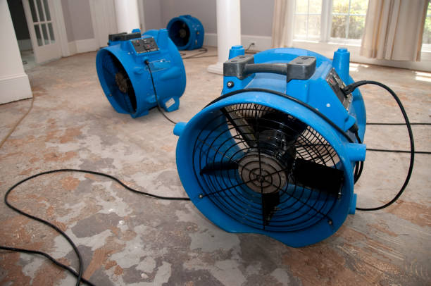 Best Emergency water damage restoration  in Philomath, OR