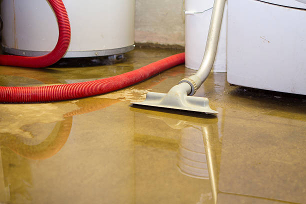 Best Carpet water damage restoration  in Philomath, OR