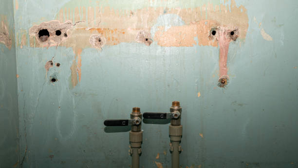 Best Flooded house restoration  in Philomath, OR